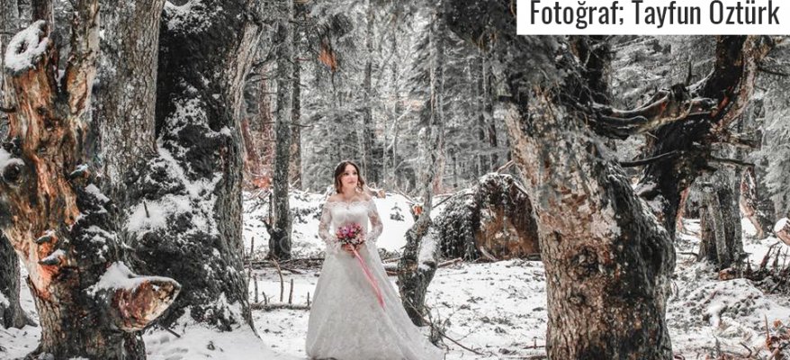 Kış Düğünlerine Uygun Fotoğraf Fikirleri